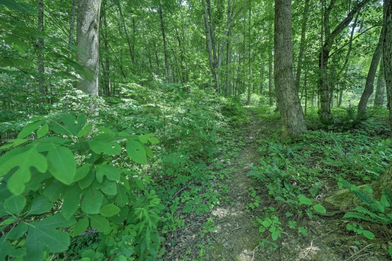 Historic Cabin Grill And Hiking Trail Access! Bryson City Eksteriør billede